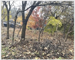  2025Ÿ��610 ���� ������ ���� 222-1       ����(��1)���