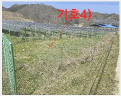  2025Ÿ623  ӽǱ   816      ()