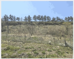  2025Ÿ623  ӽǱ   816      ()