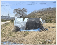  2025Ÿ623  ӽǱ   816      ()