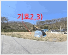  2025Ÿ623  ӽǱ   816      ()