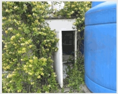  2025Ÿ��671  ���ð��