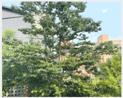  2025Ÿ��671  ���ð��