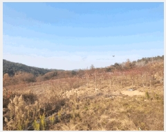  2025Ÿ��698 ���� �ӽǱ� �ӽ��� ������ 928      ����(��)���