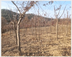  2025Ÿ��698 ���� �ӽǱ� �ӽ��� ������ 928      ����(��)���