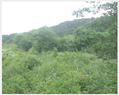  2025Ÿ��698 ���� �ӽǱ� �ӽ��� ������ 928      ����(��)���