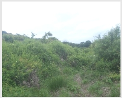  2025Ÿ��698 ���� �ӽǱ� �ӽ��� ������ 928      ����(��)���