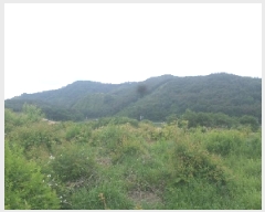  2025Ÿ��698 ���� �ӽǱ� �ӽ��� ������ 928      ����(��)���