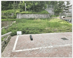  2025Ÿ��699  �Ӿ߰��