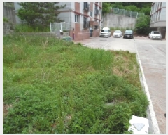  2025Ÿ��699  �Ӿ߰��