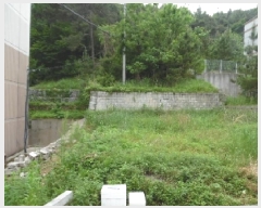  2025Ÿ��699  �Ӿ߰��