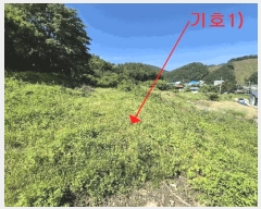  2025Ÿ��706 ���� ���ȱ� �α͸� ������ 554      ����(�Ӿ�)���