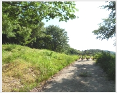  2025Ÿ��706 ���� ���ȱ� �α͸� ������ 554      ����(�Ӿ�)���