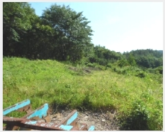  2025Ÿ��706 ���� ���ȱ� �α͸� ������ 554      ����(�Ӿ�)���