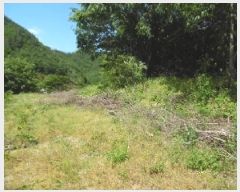  2025Ÿ��706 ���� ���ȱ� �α͸� ������ 554      ����(�Ӿ�)���