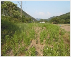  2025Ÿ��711  �����