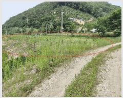  2025Ÿ��711 ���� ���ȱ� �α͸� ���׸� 559      ����(��1)���