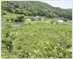  2025Ÿ��711 ���� ���ȱ� �α͸� ���׸� 559      ����(��1)���