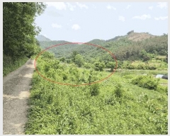  2025Ÿ��711 ���� ���ȱ� �α͸� ���׸� 559      ����(��1)���