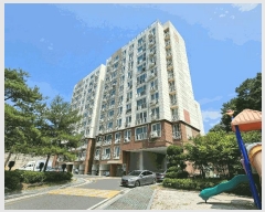  2025Ÿ��772  ����Ʈ���