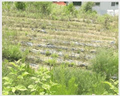  2025Ÿ��791  �����