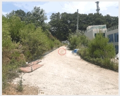  2025Ÿ��791  �����