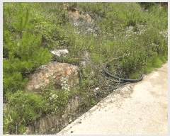  2025Ÿ��791  �����