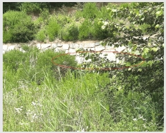  2025Ÿ��791  �����