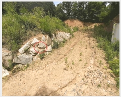  2025Ÿ��791  �����