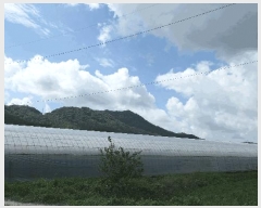  2025Ÿ��840 ���� ���ֱ� ���̸� ��õ�� 1085      ����(��1)���