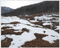  2025Ÿ��30828  �Ӿ߰��