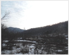  2025Ÿ��30828  �Ӿ߰��