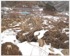  2025Ÿ��30828  �Ӿ߰��