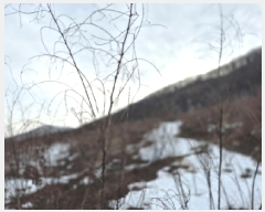  2025Ÿ��30828  �Ӿ߰��