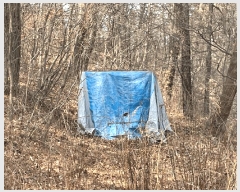  2025Ÿ��30926 ���� ���ֽ� ������ ��Ƶ�1�� ��31-1      ����(�Ӿ�)���