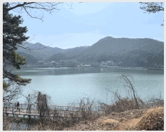  2025Ÿ��30926 ���� ���ֽ� ������ ��Ƶ�1�� ��31-1      ����(�Ӿ�)���