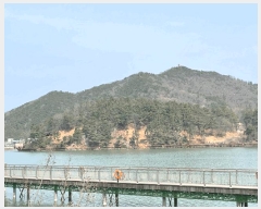  2025Ÿ��30926 ���� ���ֽ� ������ ��Ƶ�1�� ��31-1      ����(�Ӿ�)���