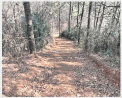  2025Ÿ��30926 ���� ���ֽ� ������ ��Ƶ�1�� ��31-1      ����(�Ӿ�)���