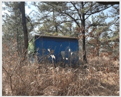  2025Ÿ��30926 ���� ���ֽ� ������ ��Ƶ�1�� ��31-1      ����(�Ӿ�)���