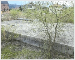  2025Ÿ30994  ֱ ̸ ⸮ 612-25      ()