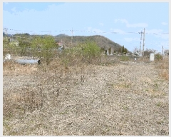  2025Ÿ30994  ֱ ̸ ⸮ 612-25      ()