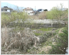  2025Ÿ30994  ֱ ̸ ⸮ 612-25      ()