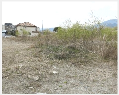  2025Ÿ30994  ֱ ̸ ⸮ 612-25      ()