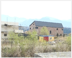  2025Ÿ30994  ֱ ̸ ⸮ 612-25      ()