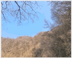  2025Ÿ31053   ݻ ȭ 93-2      (Ӿ)