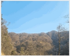  2025Ÿ31053   ݻ ȭ 93-2      (Ӿ)