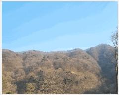  2025Ÿ31053   ݻ ȭ 93-2      (Ӿ)