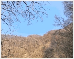  2025Ÿ31053   ݻ ȭ 93-2      (Ӿ)