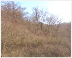  2025Ÿ31053   ݻ ȭ 93-2      (Ӿ)