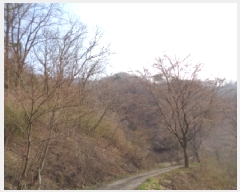  2025Ÿ31053   ݻ ȭ 93-2      (Ӿ)